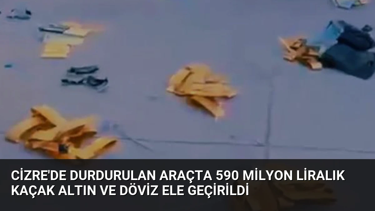 Cizre’de durdurulan araçta 590 milyon liralık kaçak altın ve döviz ele geçirildi