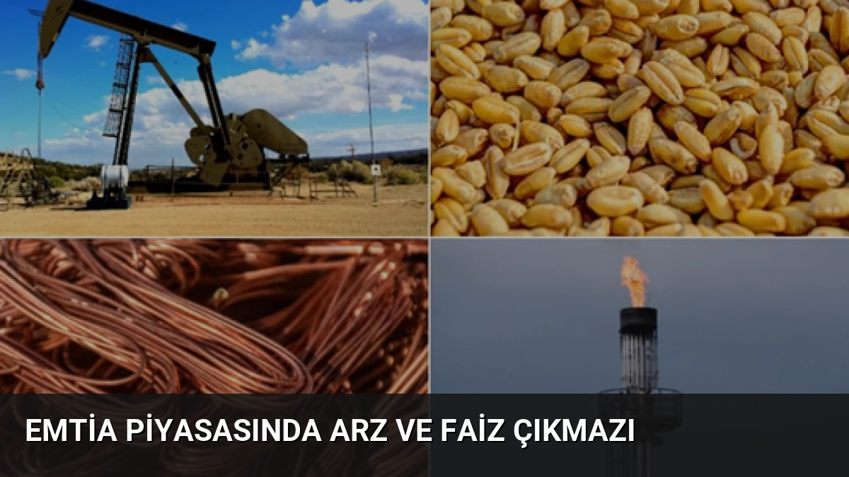 Emtia Piyasasında Arz ve Faiz Çıkmazı