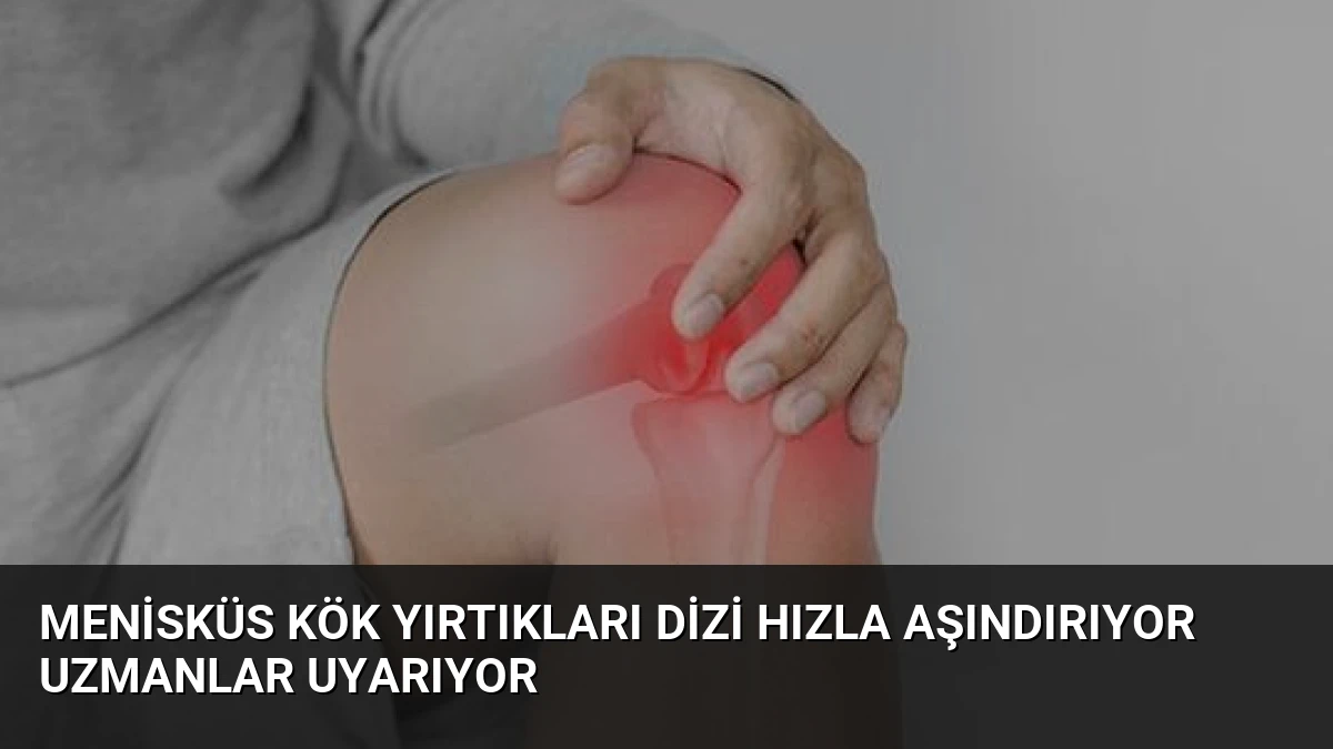 Menisküs Kök Yırtıkları Dizi Hızla Aşındırıyor Uzmanlar Uyarıyor