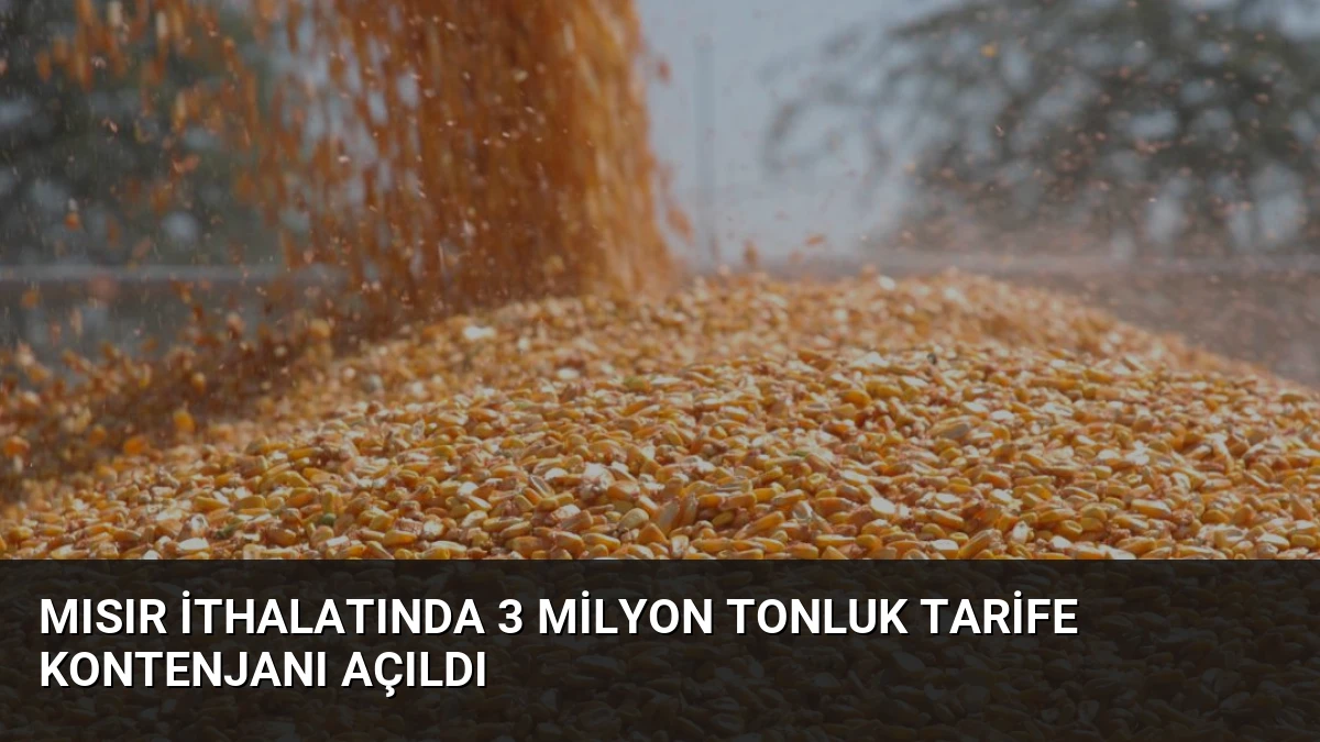 Mısır İthalatında 3 Milyon Tonluk Tarife Kontenjanı Açıldı