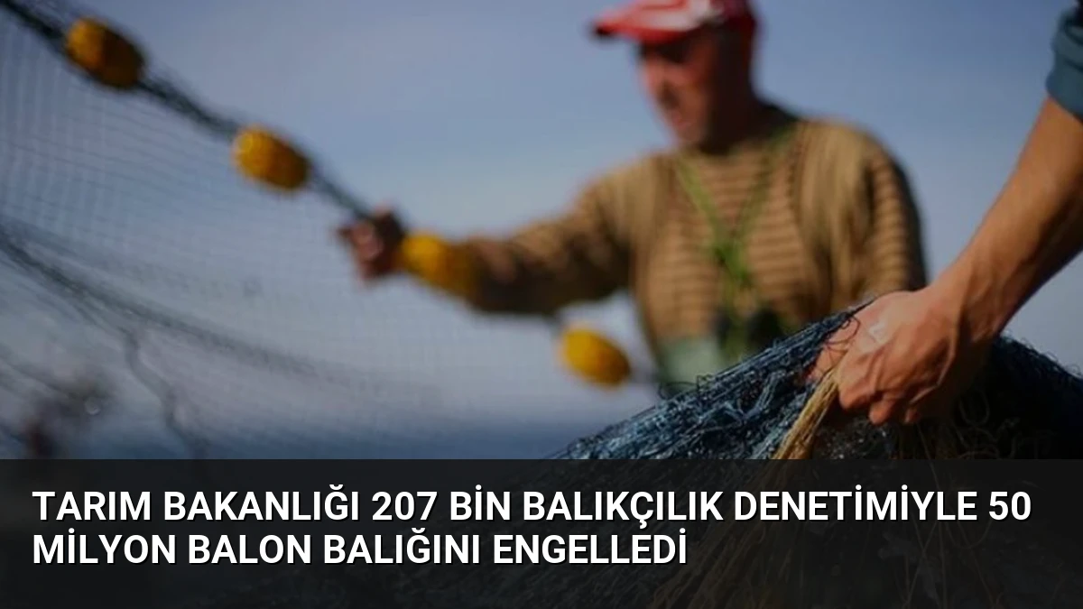 Tarım Bakanlığı 207 Bin Balıkçılık Denetimiyle 50 Milyon Balon Balığını Engelledi