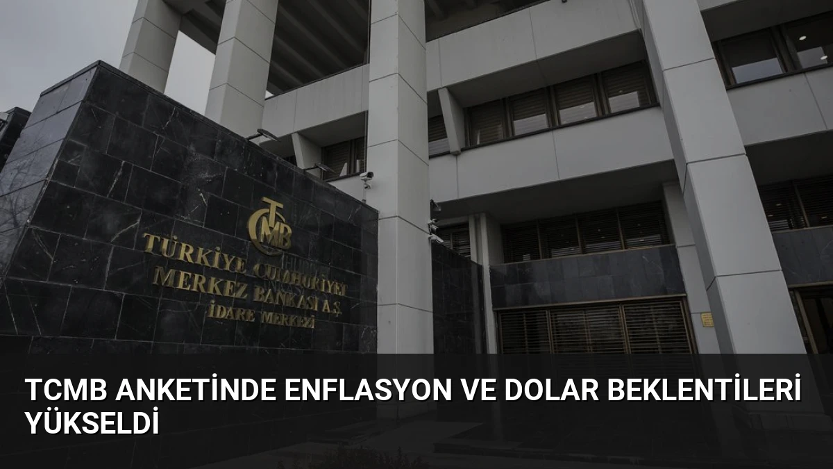 TCMB Anketinde Enflasyon ve Dolar Beklentileri Yükseldi