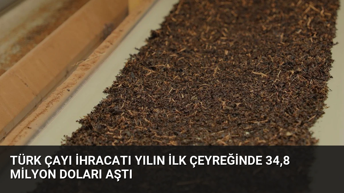 Türk Çayı İhracatı Yılın İlk Çeyreğinde 34,8 Milyon Doları Aştı