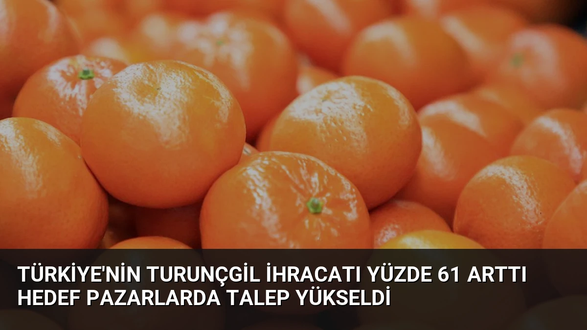 Türkiye’nin Turunçgil İhracatı Yüzde 61 Arttı Hedef Pazarlarda Talep Yükseldi