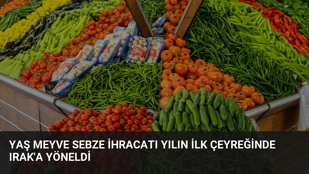 Yaş Meyve Sebze İhracatı Yılın İlk Çeyreğinde Irak’a Yöneldi