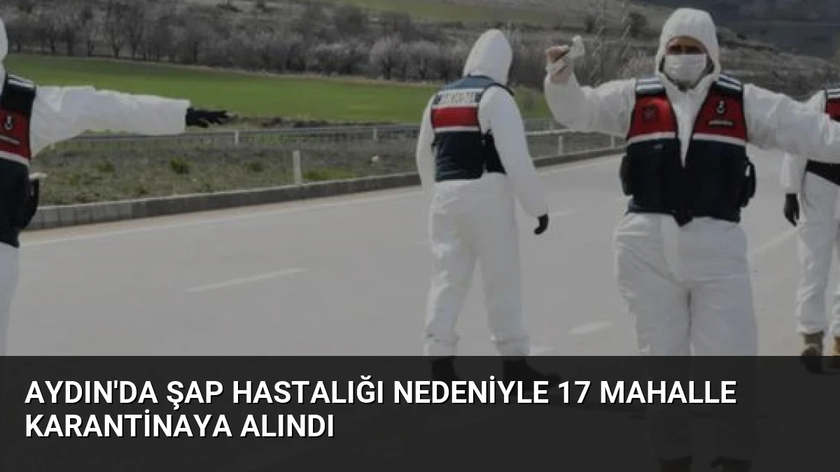 Aydın’da Şap Hastalığı Nedeniyle 17 Mahalle Karantinaya Alındı