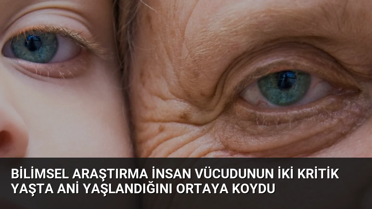 Bilimsel Araştırma İnsan Vücudunun İki Kritik Yaşta Ani Yaşlandığını Ortaya Koydu