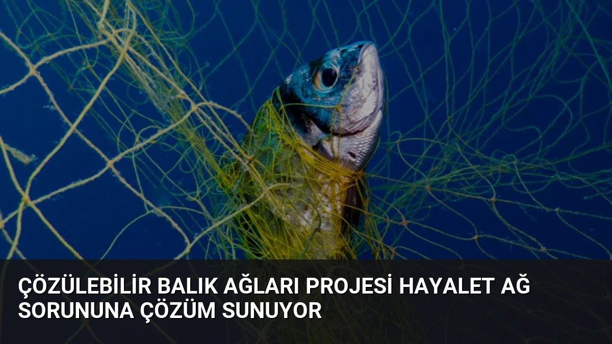 Çözülebilir Balık Ağları Projesi Hayalet Ağ Sorununa Çözüm Sunuyor
