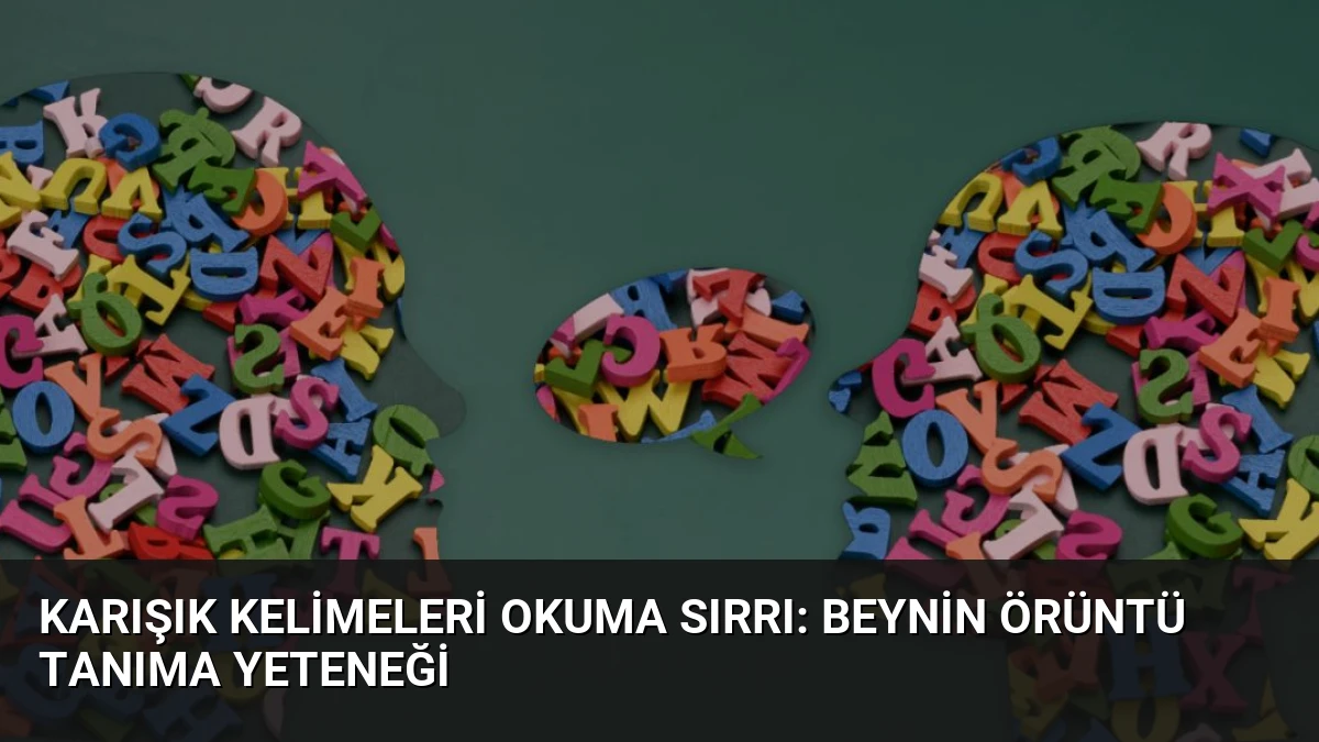 Karışık Kelimeleri Okuma Sırrı: Beynin Örüntü Tanıma Yeteneği