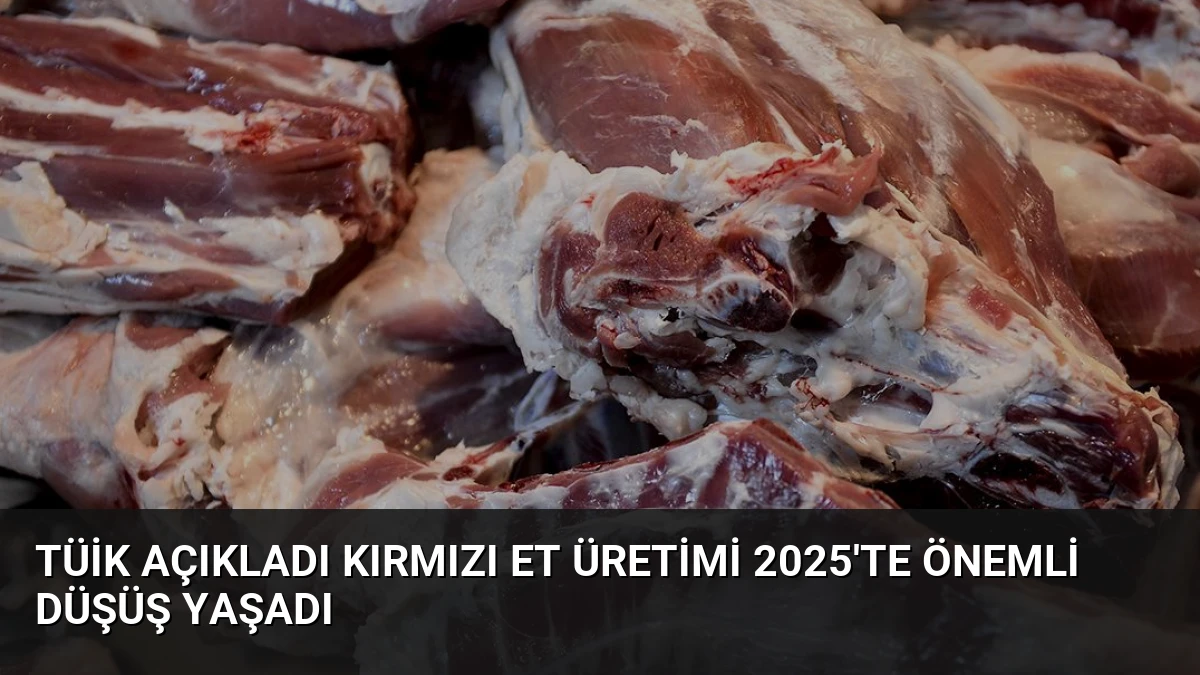 TÜİK Açıkladı Kırmızı Et Üretimi 2025’te Önemli Düşüş Yaşadı