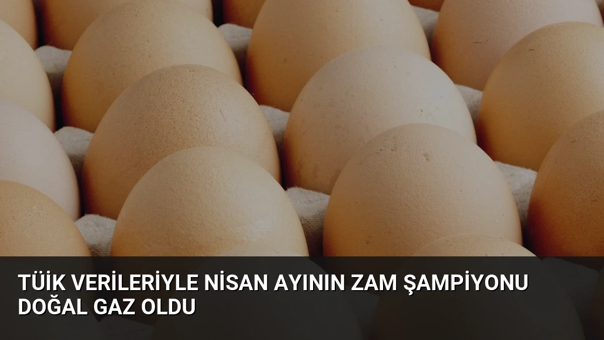 TÜİK Verileriyle Nisan Ayının Zam Şampiyonu Doğal Gaz Oldu