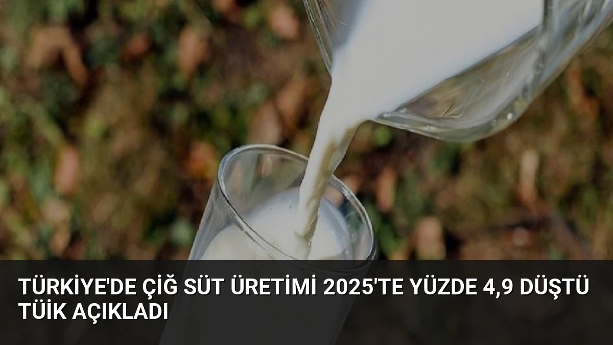 Türkiye’de Çiğ Süt Üretimi 2025’te Yüzde 4,9 Düştü TÜİK Açıkladı