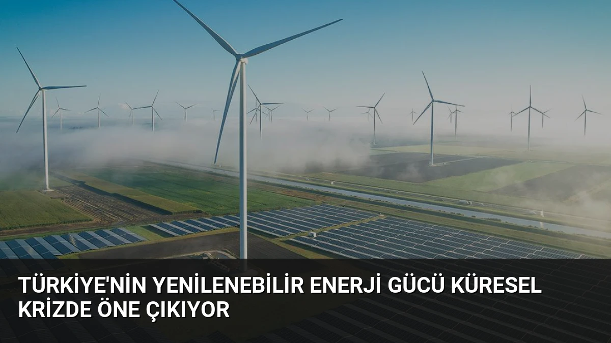 Türkiye’nin Yenilenebilir Enerji Gücü Küresel Krizde Öne Çıkıyor