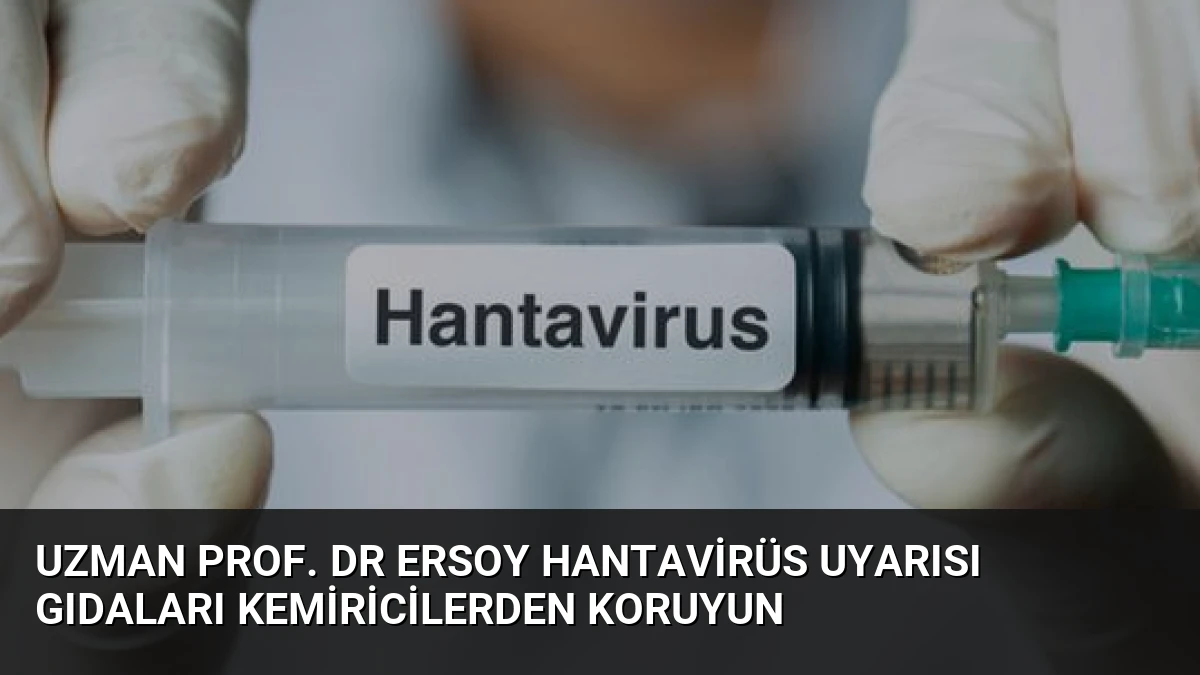 Uzman Prof. Dr Ersoy Hantavirüs Uyarısı Gıdaları Kemiricilerden Koruyun