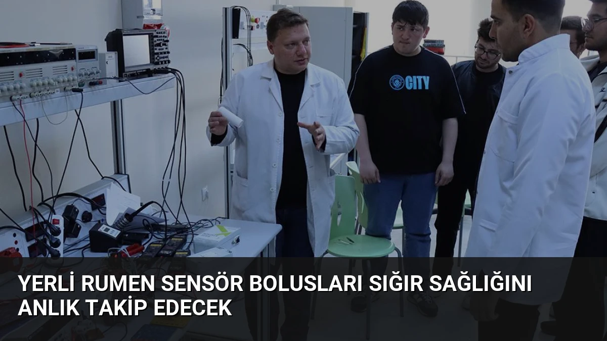 Yerli Rumen Sensör Bolusları Sığır Sağlığını Anlık Takip Edecek