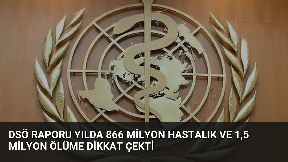 DSÖ Raporu Yılda 866 Milyon Hastalık ve 1,5 Milyon Ölüme Dikkat Çekti