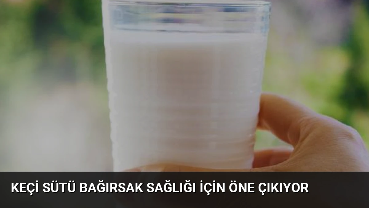 Keçi Sütü Bağırsak Sağlığı İçin Öne Çıkıyor
