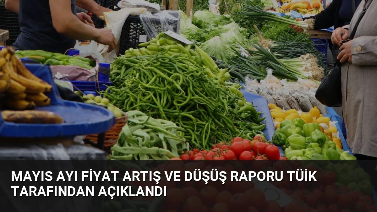 Mayıs Ayı Fiyat Artış ve Düşüş Raporu TÜİK Tarafından Açıklandı