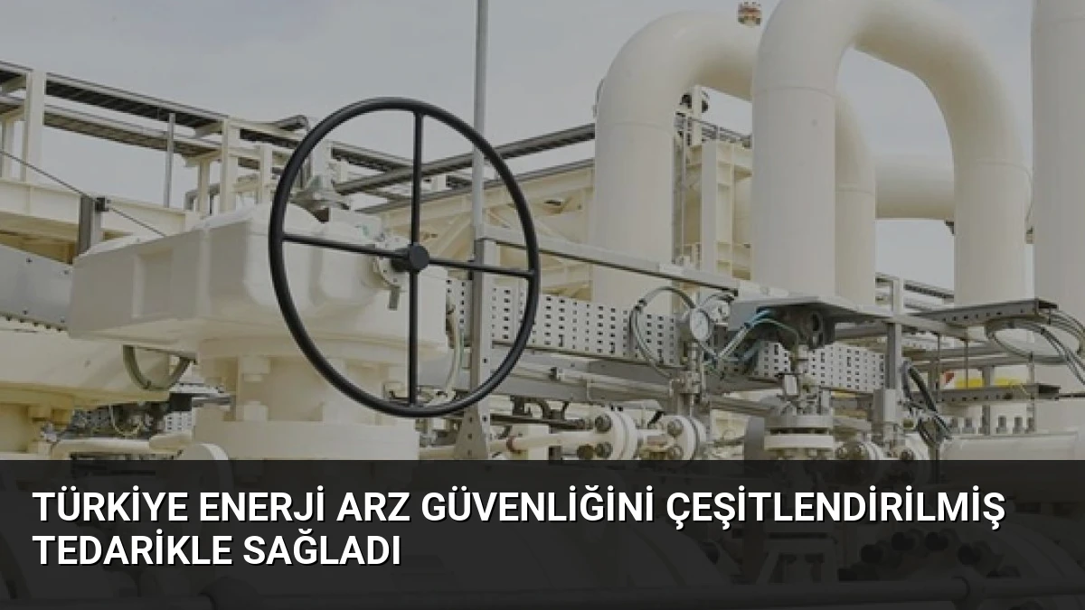 Türkiye Enerji Arz Güvenliğini Çeşitlendirilmiş Tedarikle Sağladı