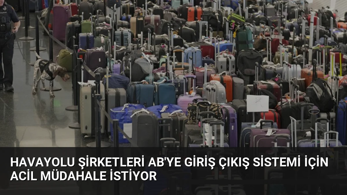 Havayolu Şirketleri AB’ye Giriş Çıkış Sistemi İçin Acil Müdahale İstiyor