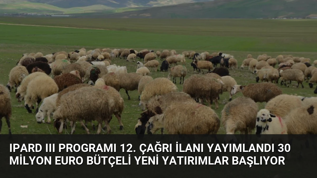 IPARD III Programı 12. Çağrı İlanı Yayımlandı 30 Milyon Euro Bütçeli Yeni Yatırımlar Başlıyor