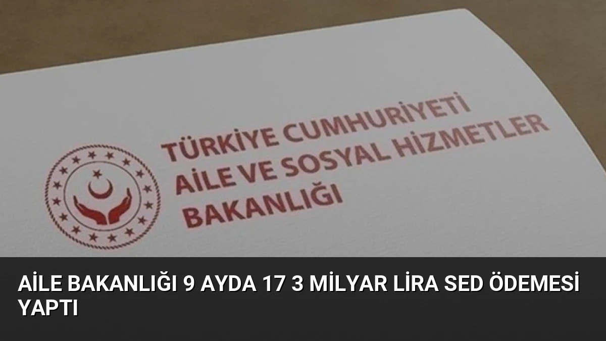 Aile Bakanlığı 9 Ayda 17 3 Milyar Lira SED Ödemesi Yaptı