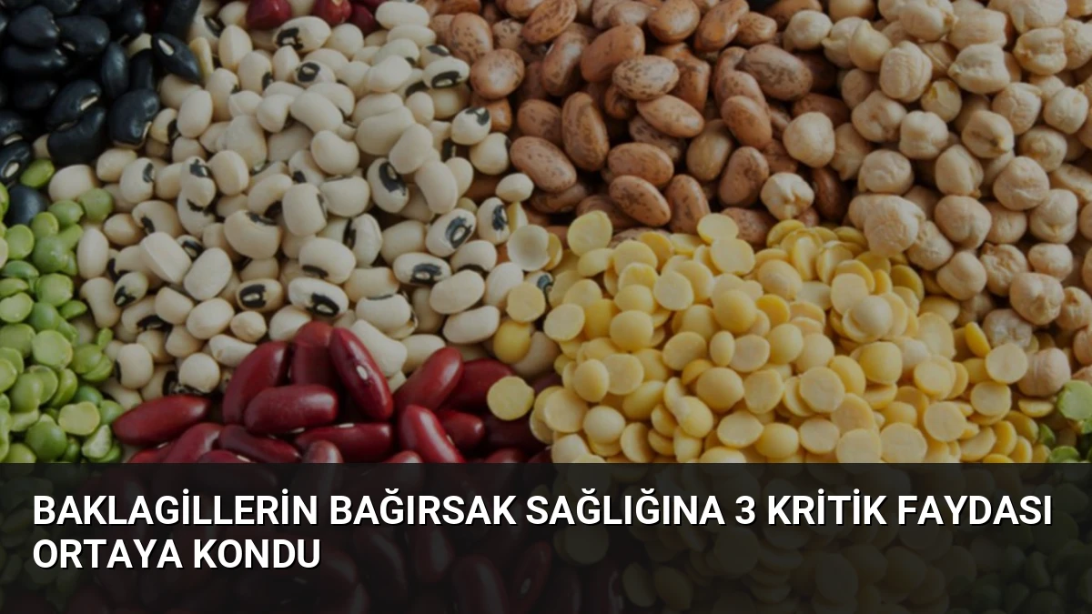 Baklagillerin Bağırsak Sağlığına 3 Kritik Faydası Ortaya Kondu