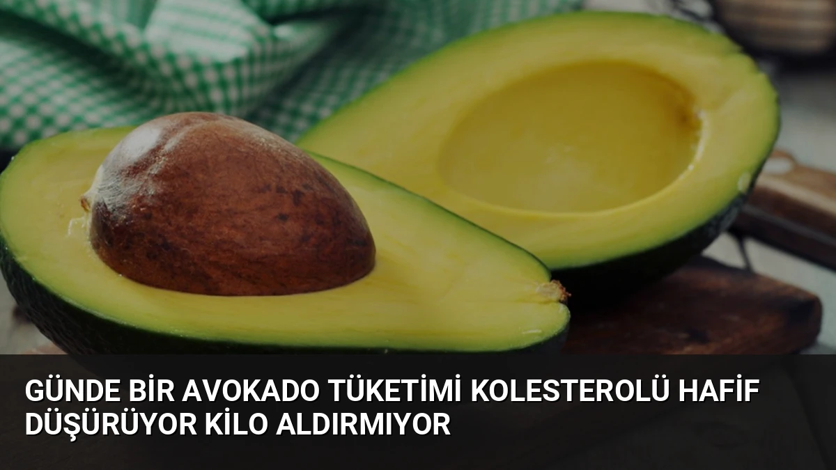 Günde Bir Avokado Tüketimi Kolesterolü Hafif Düşürüyor Kilo Aldırmıyor