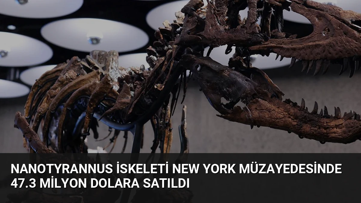 Nanotyrannus İskeleti New York Müzayedesinde 47.3 Milyon Dolara Satıldı
