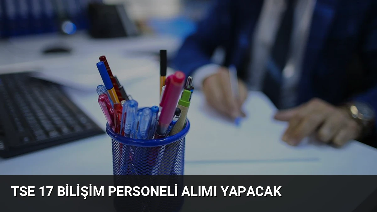 TSE 17 Bilişim Personeli Alımı Yapacak