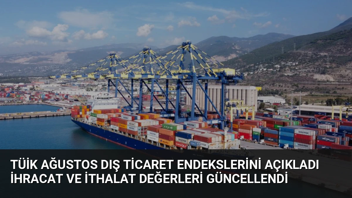 TÜİK Ağustos Dış Ticaret Endekslerini Açıkladı İhracat ve İthalat Değerleri Güncellendi