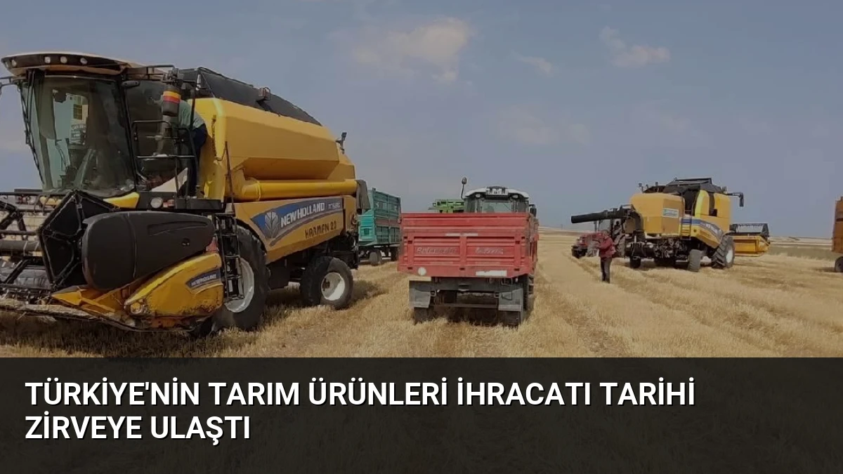 Türkiye’nin Tarım Ürünleri İhracatı Tarihi Zirveye Ulaştı